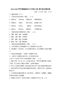 2024-2025学年部编版语文七年级上册 期中综合测试卷（一）