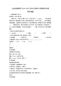 山东省禹城市2024-2025学年七年级下学期期末考试语文试题（解析版）
