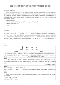 2024~2025学年江苏苏州工业园区初二下学期期末语文试卷（有答案解析）