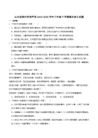 山东省滨州市邹平市2024-2025学年八年级下学期期末考试语文试题（含答案）