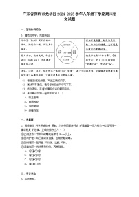 广东省深圳市龙华区2024-2025学年八年级下学期期末语文试题（解析版）