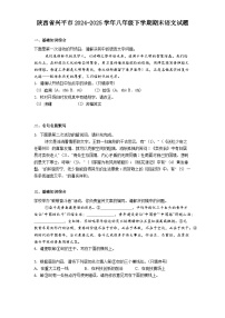 陕西省兴平市2024-2025学年八年级下学期期末语文试题（解析版）