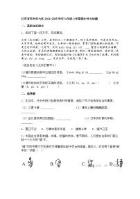 江苏省苏州市六区2024-2025学年七年级上学期期中语文试题（含答案）