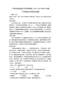 广西壮族自治区百色市田阳区2024-2025学年八年级下学期期末考试语文试题（解析版）