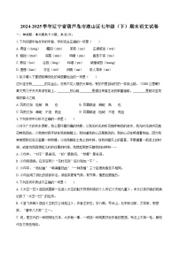 2024-2025学年辽宁省葫芦岛市连山区七年级（下）期末语文试卷（含详细答案解解析）