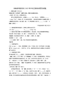 河南省名校联考2025年中考三模考试语文试卷（解析版）