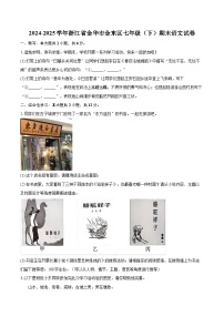 2024-2025学年浙江省金华市金东区七年级（下）期末语文试卷（含详细答案解析）