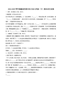 2024-2025学年福建省龙岩市长汀县七年级（下）期末语文试卷（含详细答案解析）