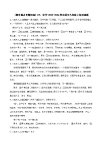 期中重点专题训练：写作  2025-2026学年统编版语文九年级上册
