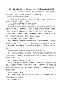 期中重点专题训练：写作 2025-2026学年统编版语文九年级上册