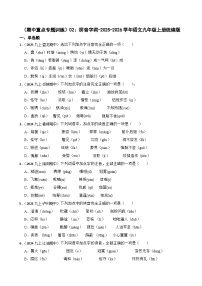 期中重点专题训练：拼音字词 2025-2026学年统编版语文九年级上册