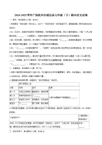 2024-2025学年广西钦州市浦北县七年级（下）期末语文试卷（含详细答案解析）