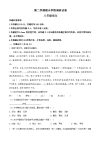 新人教部编版初中语文八下期末综合试题 无答案