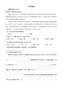 吉林省松原市前郭县南部学区2024-2025学年八年级下学期期中语文试题