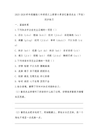 初中语文人教部编版（2024）八年级上册（2024）8 回忆鲁迅先生(节选)/萧红测试题