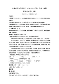 山东省泰安市新泰市2024-2025学年七年级下学期期末考试语文试卷（解析版）