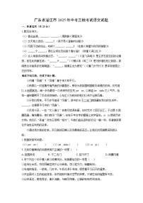 广东省湛江市2025年中考三模考试语文试卷（学生版）