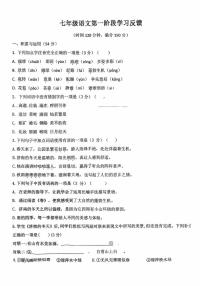 山东省德州市平原县三校2025-2026学年七年级上学期10月月考联考语文试题