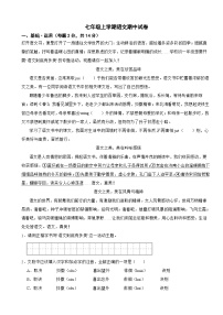 北京市2025年七年级上学期语文期中试卷附答案