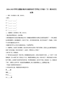 2024-2025学年安徽省亳州市涡阳县石弓学区八年级（下）期末语文试卷（含详细答案解析）