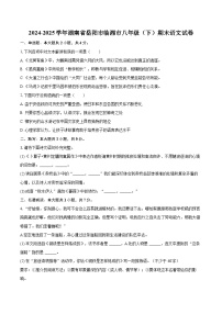 2024-2025学年湖南省岳阳市临湘市八年级（下）期末语文试卷（含详细答案解析）