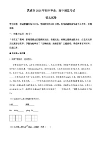 2024年甘肃省武威市临夏州中考语文真题试题（含答案）