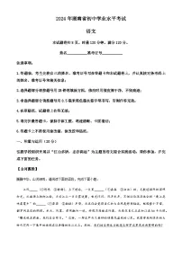 2024年湖南省中考语文真题试卷（含答案）
