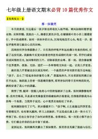 2024版人教版七年级上册语文期末必背10篇优秀作文练习