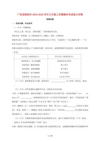 广东省深圳市2024~2025学年九年级上学期期末考试语文试题【带答案】