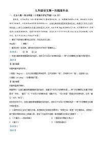 江苏省常州市实验初级中学2025-2026学年九年级上学期10月月考语文试题（含答案）