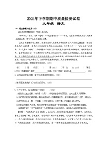 湖南省岳阳市2024-2025学年九年级上学期11月期中语文试题