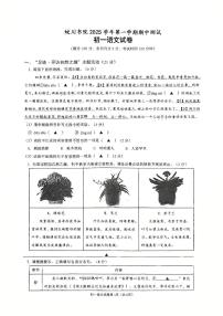浙江省宁波市镇海区蛟川书院2025-2026学年第一学期七年级语文期中试卷（无答案）