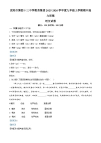 辽宁省沈阳市第四十三中学教育集团2025-2026学年九年级上学期期中语文试题（含答案及解析）
