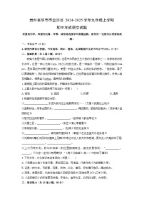贵州省毕节市金沙县2024-2025学年九年级上学期期中考试语文试卷（学生版）