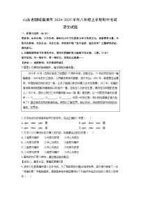 山东省聊城临清市2024-2025学年八年级上学期期中考试语文试卷（学生版）