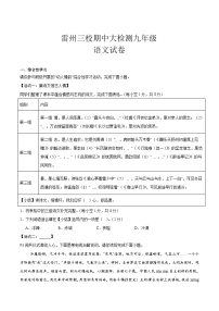 广东省湛江市雷州市三校联考2026届九年级上学期11月期中考试语文试卷