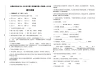 甘肃省古浪县2024-2025学年八年级下学期第一次月考语文试题（无答案）
