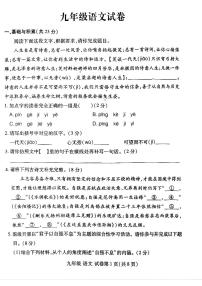 河南省洛阳市洛龙区2025-2026学年九年级上学期期中语文试卷及答案