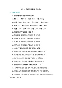 初中语文人教部编版（2024）八年级上册（2024）10*美丽的颜色/艾芙·居里课后练习题