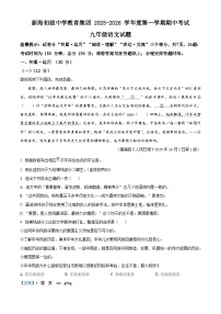 江苏省连云港市新海初级中学教育集团2025-2026学年九年级上学期期中考试语文试题（含答案及解析）