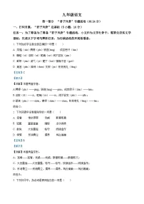 广东省广州市白云区2025-2026学年九年级上学期期中语文试题（含答案）