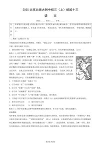 2025北京北师大附中初三（上）统练十三语文（教师版）试卷