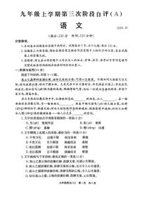 河南省安阳市林州市校联考2025-2026学年九年级上学期12月月考语文试题