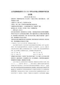 山东省聊城临清市2024-2025学年九年级上学期期中考试语文试卷（学生版）