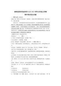 湖南省邵阳市武冈市2024-2025学年九年级上学期期中考试语文试卷（学生版）