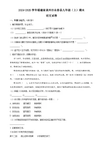 福建省泉州市永春县九年级上学期期末语文试题（原卷版）-A4