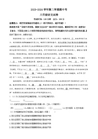 福建省漳州市八年级下学期期中语文试题（解析版）-A4