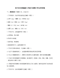 初中 语文 统编版 八年级下册 第六单元 同步练