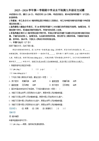 山东省聊城市2025-2026学年九年级上学期期中语文试题（含答案）（含解析）