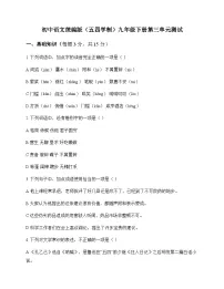 初中 语文 统编版五四学制 九年级下册 第三单元 测试及解析